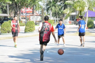 DSC_0151_800x534.JPG