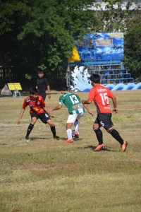DSC_0270_800x534.JPG