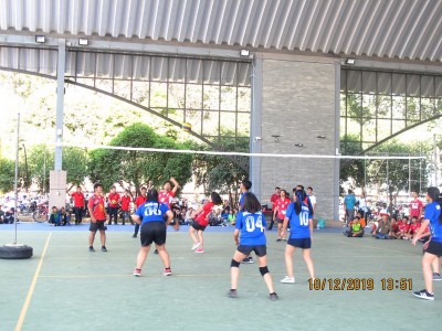 IMG_0011_800x600.JPG
