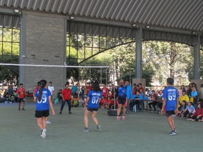 IMG_0014_800x600.JPG