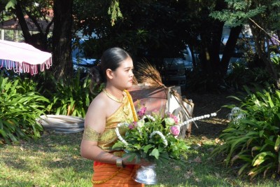 DSC_0230_800x534.JPG