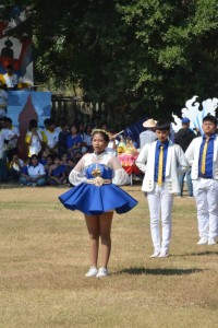 DSC_0690_800x534.JPG
