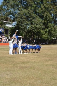 DSC_0708_800x534.JPG