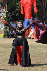 DSC_0887_800x534.JPG