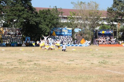 IMG_3396_800x533.JPG
