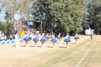 IMG_3400_800x533.JPG