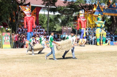 IMG_3453_800x533.JPG
