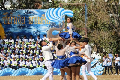 IMG_8584_800x533.JPG