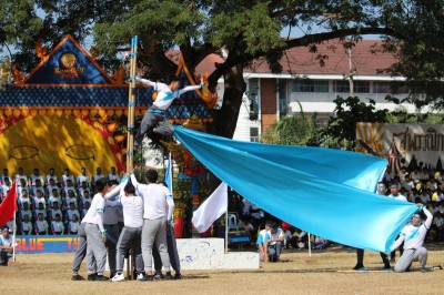 IMG_8698_800x533.JPG
