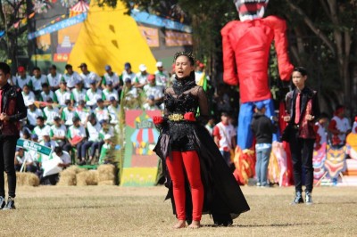 IMG_8749_800x533.JPG