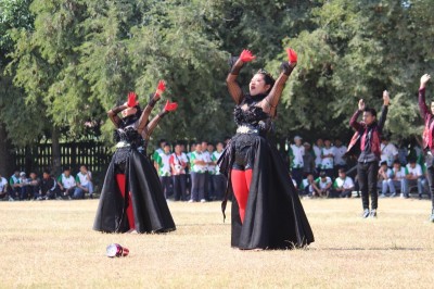 IMG_8755_800x533.JPG
