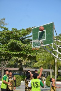 DSC_0297_800x534.JPG