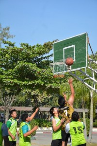DSC_0298_800x534.JPG