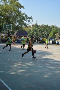DSC_0311_800x534.JPG