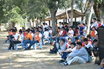 DSC_0340_800x534.JPG