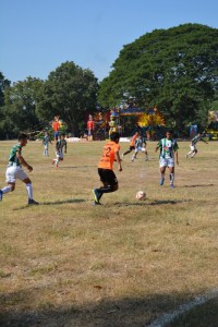 DSC_0366_800x534.JPG
