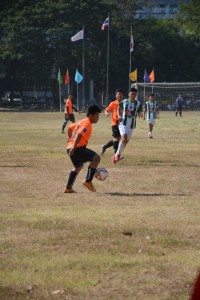 DSC_0368_800x534.JPG