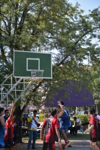 DSC_0477_800x534.JPG