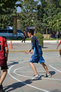DSC_0485_800x534.JPG
