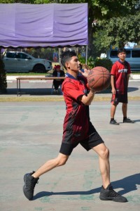 DSC_0500_800x534.JPG