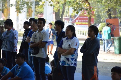 DSC_0540_800x534.JPG