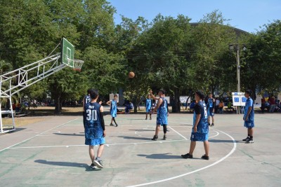 DSC_0732_800x534.JPG