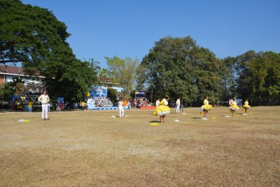 DSC_0012_800x534.JPG