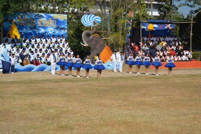 DSC_0020_800x534.JPG