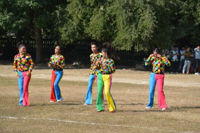 DSC_0969_800x534.JPG