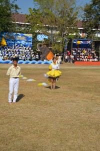 DSC_0996_800x534.JPG