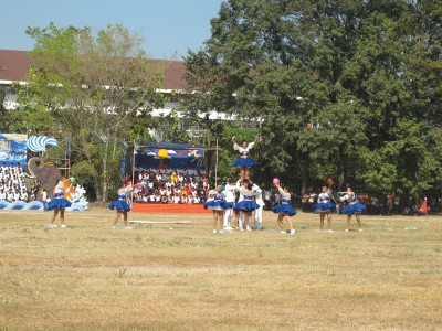 IMG_0130_800x600.JPG