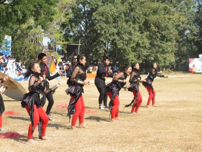 IMG_0180_800x600.JPG