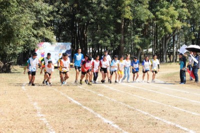 IMG_3801_800x533.JPG