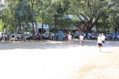 IMG_3893_800x533.JPG