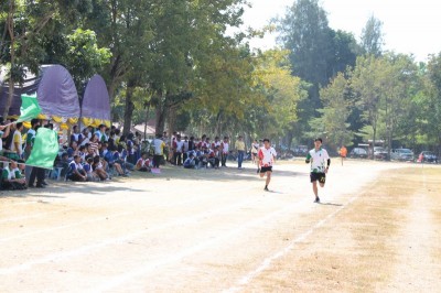 IMG_3908_800x533.JPG