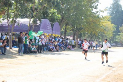 IMG_3909_800x533.JPG
