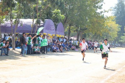 IMG_3910_800x533.JPG