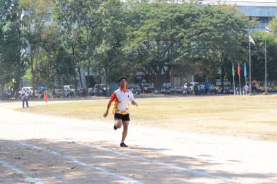 IMG_3919_800x533.JPG