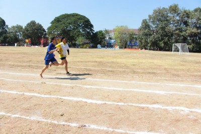 IMG_3993_800x533.JPG