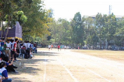 IMG_3996_800x533.JPG
