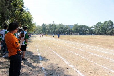 IMG_4015_800x533.JPG