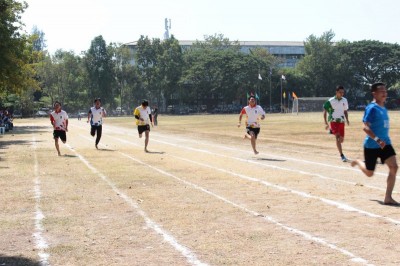 IMG_4039_800x533.JPG