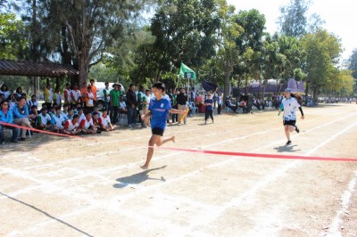 IMG_4074_800x533.JPG