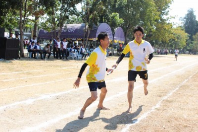 IMG_4113_800x533.JPG