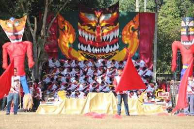 IMG_9005_800x533.JPG
