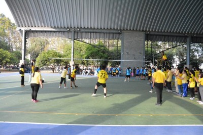 DSC_0081_800x534.JPG