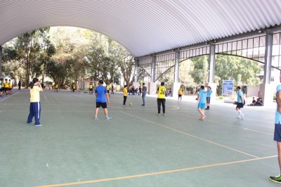 IMG_4334_800x533.JPG