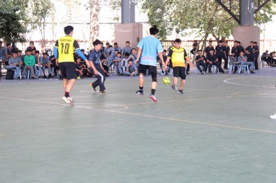 IMG_4364_800x533.JPG