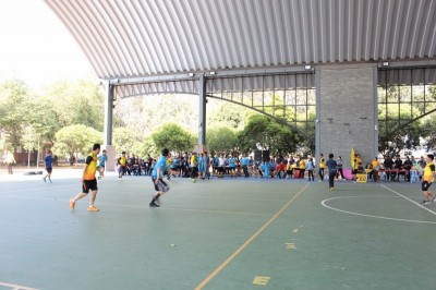 IMG_4366_800x533.JPG