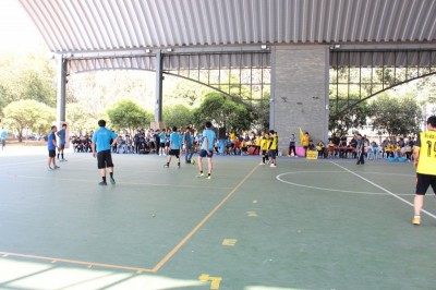 IMG_4368_800x533.JPG